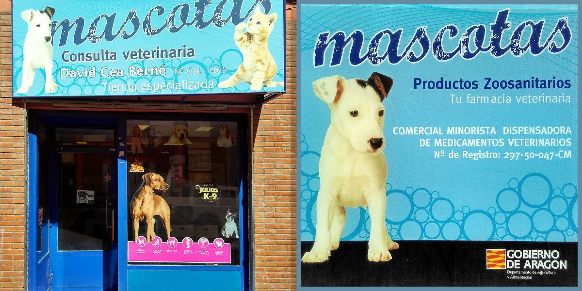 Mascotas David Cea mascotas