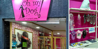 Oh My Dog