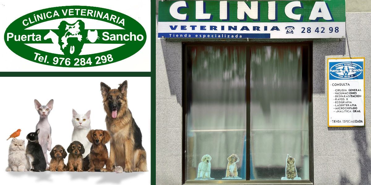 Clínica Puerta Sancho