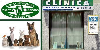 Clínica Puerta Sancho